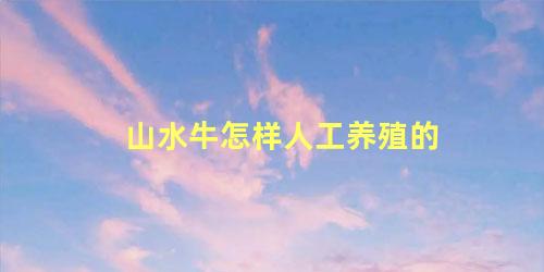 山水牛怎样人工养殖的