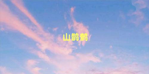山鹊鹩