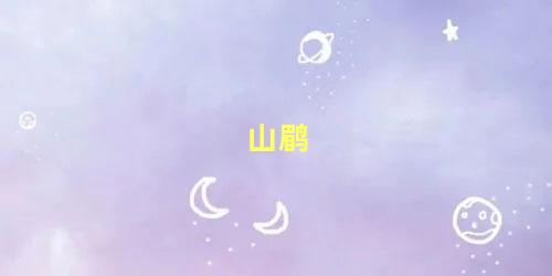 山鹛