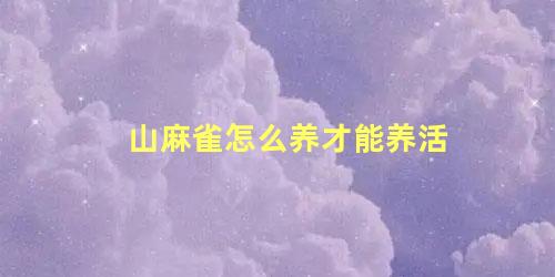 山麻雀怎么养才能养活