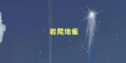 岩爬地雀