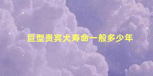 巨型贵宾犬寿命一般多少年