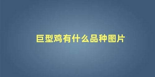 巨型鸡有什么品种图片