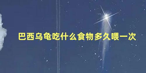 巴西乌龟吃什么食物多久喂一次