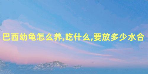 巴西幼龟怎么养,吃什么,要放多少水合适