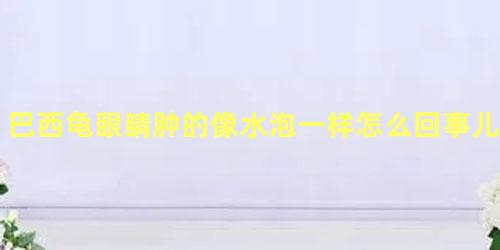 巴西龟眼睛肿的像水泡一样怎么回事儿啊