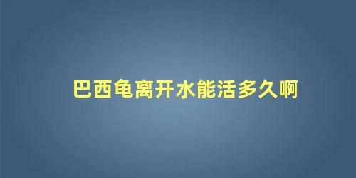 巴西龟离开水能活多久啊