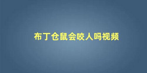 布丁仓鼠会咬人吗视频