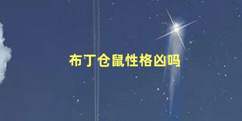 布丁仓鼠性格凶吗