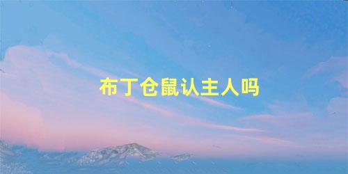布丁仓鼠认主人吗