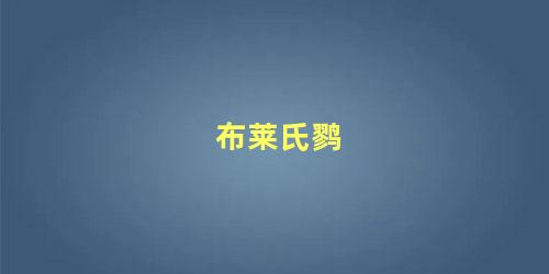 布莱氏鹨