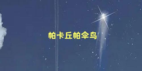 帕卡丘帕伞鸟