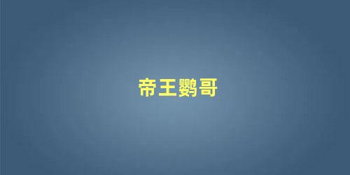 帝王鹦哥