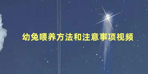 幼兔喂养方法和注意事项视频