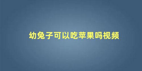 幼兔子可以吃苹果吗视频