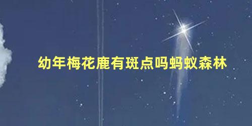 幼年梅花鹿有斑点吗蚂蚁森林