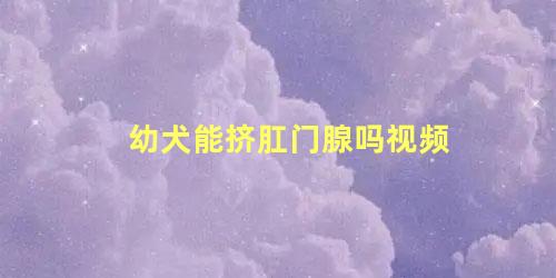 幼犬能挤肛门腺吗视频