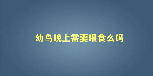 幼鸟晚上需要喂食么吗