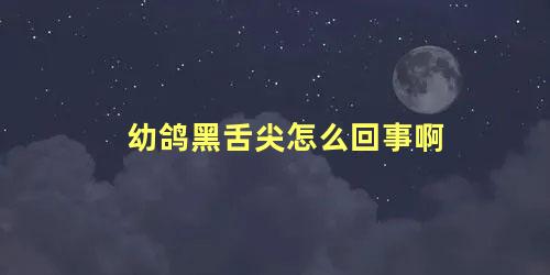幼鸽黑舌尖怎么回事啊