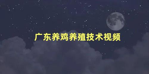 广东养鸡养殖技术视频