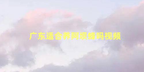 广东适合养阿坝蜂吗视频