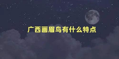 广西画眉鸟有什么特点
