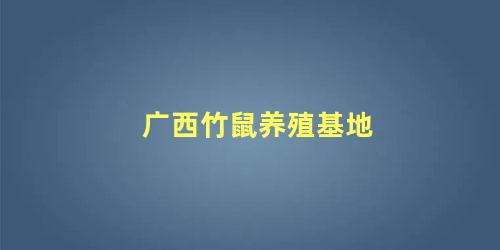 广西竹鼠养殖基地