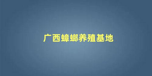 广西蟑螂养殖基地