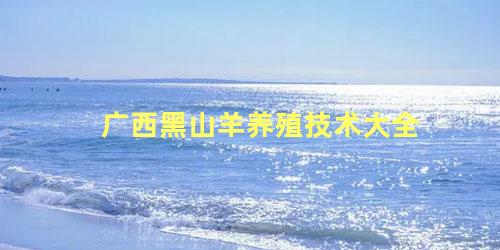 广西黑山羊养殖技术大全