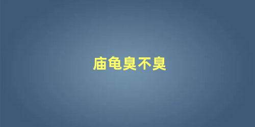 庙龟臭不臭