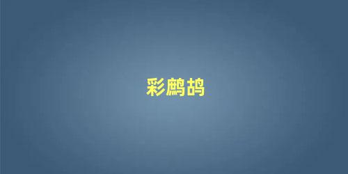彩鹧鸪