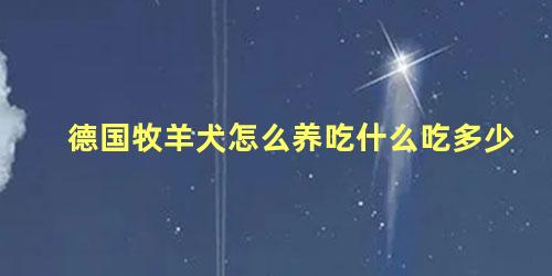 德国牧羊犬怎么养吃什么吃多少