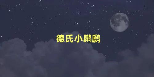 德氏小䴙䴘