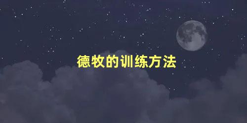 德牧的训练方法