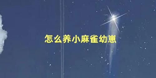 怎么养小麻雀幼崽
