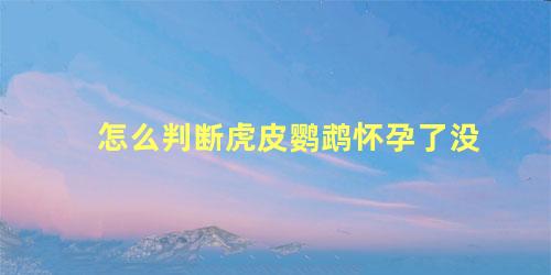 怎么判断虎皮鹦鹉怀孕了没