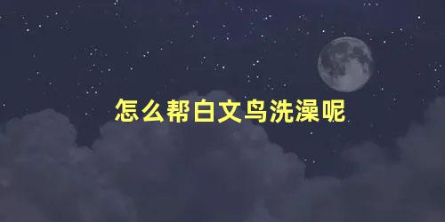 怎么帮白文鸟洗澡呢