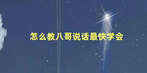 怎么教八哥说话最快学会