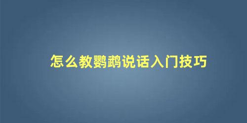 怎么教鹦鹉说话入门技巧