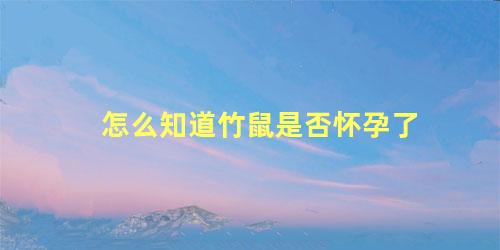 怎么知道竹鼠是否怀孕了