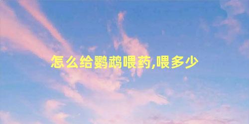 怎么给鹦鹉喂药,喂多少