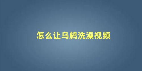 怎么让乌鸫洗澡视频