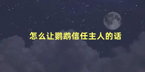 怎么让鹦鹉信任主人的话
