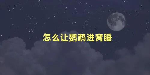 怎么让鹦鹉进窝睡