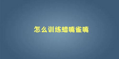 怎么训练蜡嘴雀嘴