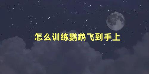 怎么训练鹦鹉飞到手上