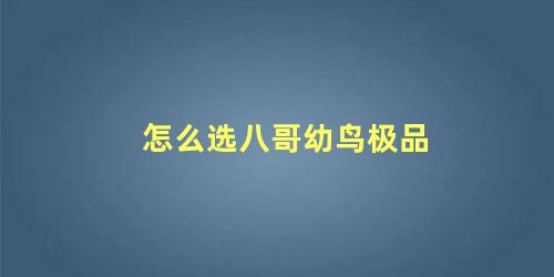 怎么选八哥幼鸟极品
