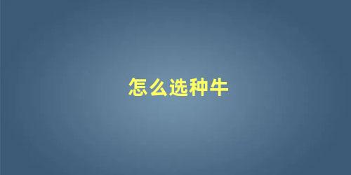 怎么选种牛