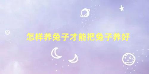 怎样养兔子才能把兔子养好