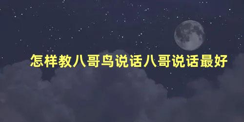 怎样教八哥鸟说话八哥说话最好